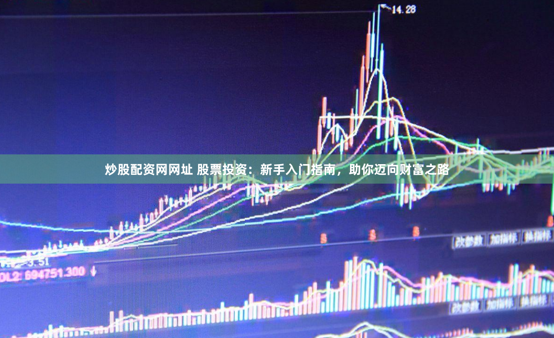 炒股配资网网址 股票投资：新手入门指南，助你迈向财富之路